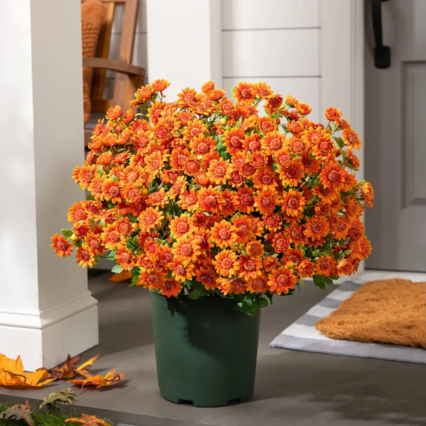Autumn Orange