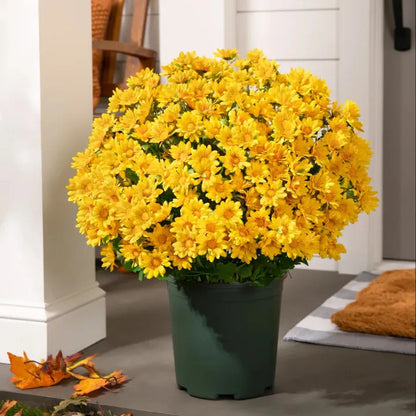 💥Artificial Outdoor Sunset Mums Flowers - UVresistant, Waterproof, Windproof🌼